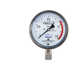 Yongyi YN100BF Radial Stainless Steel Pressure Gauge (0-1.6MPa, 1.6 Accuracy) for Water, Hydraulic, Oil, Air Pressure