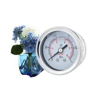 Axial Stainless Steel Pressure Gauge YN40ZBF (0-1MPa, 40mm Dial) for Natural Gas & HVAC Systems