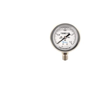 Breidys YNBF60 Stainless Steel Pressure Gauge (0-1.6 MPa, 60mm Diameter, Threaded Connection) for Water Pressure Hydraulic Systems