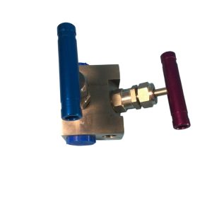 EF-2 Type 2-Valve Manifold with 1/2NPT Internal Thread, 304/316/316L Stainless Steel Needle Valve, Upper Yi Valve for Water, Air, Steam, Weak Acid-Base