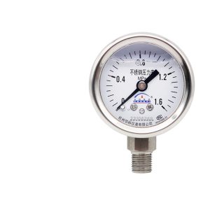 Yongyi YN40BF Radial Stainless Steel Pressure Gauge (M10*1 Thread) for Water Oil Air Systems