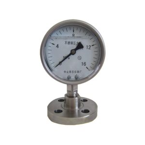 Stainless Steel Diaphragm Pressure Gauge YMNL-100 (16/25 MPa) with Flange Connection