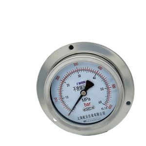 Axial Pressure Gauge YTF-100HZT (MPa/Bar, KL 1.6, 60MPa) for HVAC Systems, Replaces NO.EW181168445