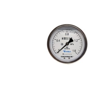 Breidys YN100Z Axial Pressure Gauge (1.6 MPa, 100mm Dia), High Precision Industrial Pressure Meter for HVAC Systems