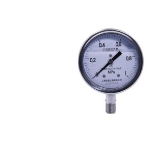 Lianglei Stainless Steel Pressure Gauge Y100-B-F-Z (0-1 MPa, OCr17Ni12Mo2) for HVAC Systems