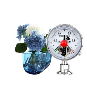 Sanitary Diaphragm Pressure Gauge YNXCTP100BF (DN100, 0-1 MPa) for Pharmaceutical & Food Processing, Replaces Standard Pressure Gauges