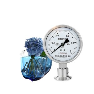 Sanitary Diaphragm Pressure Gauge YTP100BF (0-1 MPa, Stainless Steel, Clamp Connection 50.5mm)