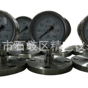 Flange Connection Stainless Steel Diaphragm Pressure Gauge DN25 YTP-100MF 1MPA for Industrial HVAC Systems