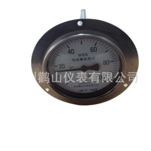 Axial Bimetal Thermometer WSS401T (0-80°C, 100mm Dial) for Industrial Temperature Measurement