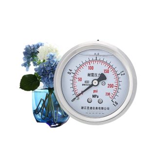Durable YN60Z Pressure Gauge (0-1.6MPa / 0-230 PSI, Axial, Oil-filled) for Water/Gas/Hydraulic Fluid Systems