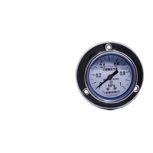 Stainless Steel Pressure Gauge Y63-B-F-Z Axial Mount with Edge, 60mm Dial, 2.5 Accuracy for HVAC Systems