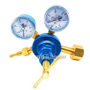 Oxygen Pressure Gauge Regulator (0.01-1.25 MPa Inlet, 0-2.5 MPa Outlet) with G3/4 Connection for HVAC Systems