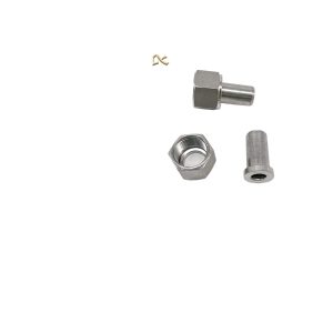 Butt Weld Pressure Gauge Adapter Kit (Stainless Steel DN15-DN50) for Pressure Measurement Systems, Reliable Quality