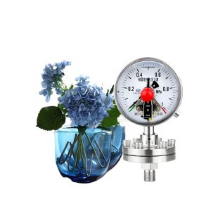Durable YNXCTP100BF Diaphragm Pressure Gauge (M20*1.5, 0-1 MPa) for Corrosive Media - Stainless Steel Threaded Connection for Industrial HVAC