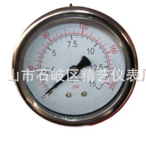 Durable Stainless Steel Pressure Gauge (0-15KG/0-200psi, Axial Connect) for HVAC Systems
