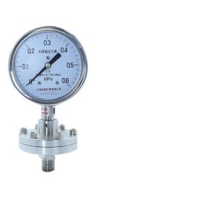 Stainless Steel Diaphragm Pressure Gauge Y-100BF-ML (0-0.6 MPa, Threaded Connection 100mm, Accuracy 1.6) for Corrosive High-Temperature Fluid Measurement