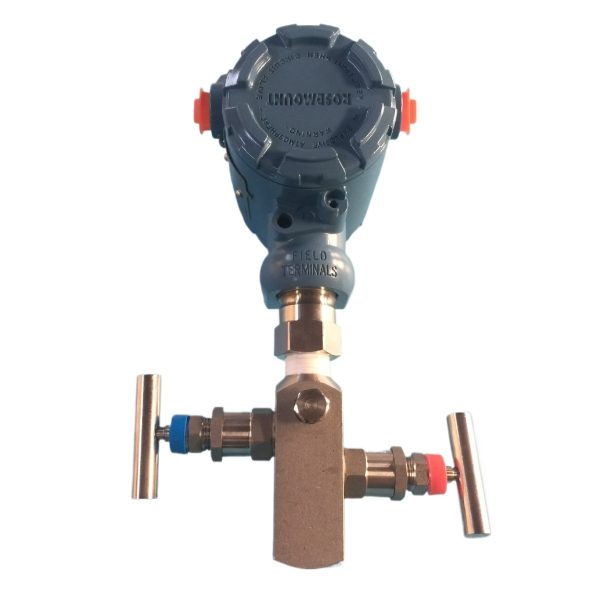 2-Valve Manifold with 1/2 NPT for Rosemount Transmitter - Image 3