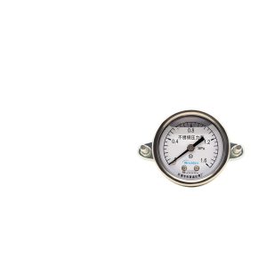 Breidys YNBF50ZV Stainless Steel Pressure Gauge Axial Mount 0-1.6MPa for Air/Oil/Water Pressure Systems