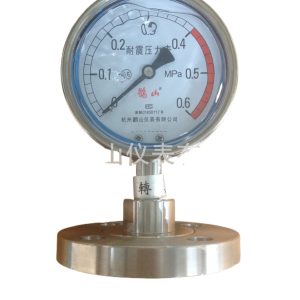 HVAC Diaphragm Pressure Gauge YN100BFMF DN25 (-0.1-0.6 MPa) with 316 Stainless Steel Diaphragm and Oil Filling, for Flange Connection HVAC Systems