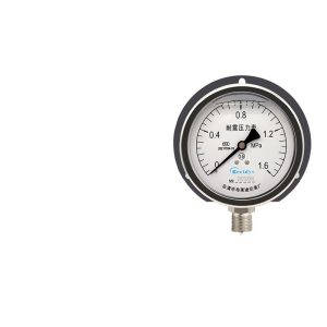 Breidys YN100T Shock-resistant Pressure Gauge (0-1.6MPa) for Water Pressure & Gas Pressure Replaces 28050064