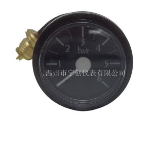 Circulating Pump Pressure Gauge 0-6 BAR (37mm Thread) compatible with Boiler HVAC Systems