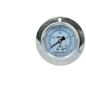 Stainless Steel Axial Pressure Gauge YN-60ZTBF Series (0-60Mpa, M14x1.5 Flange, Shock-Resistant) for HVAC Systems