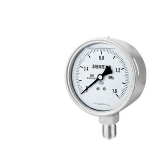 Stainless Steel Pressure Gauge YN100BF (DN100, 0-1.6 MPa, 1.6 Accuracy) for Water Gas Oil Pressure Systems