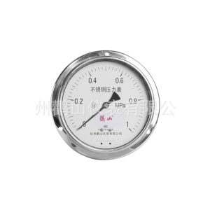 Stainless Steel Pressure Gauge Y100BFZT (Axial, 100mm Diameter, 1.6 Accuracy, 0-1.6 MPa) for Industrial Applications