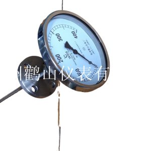WSS583 Universal Bimetal Thermometer Flange Connection (0-600C, 150mm Dial) for Industrial Temperature Measurement Replaces WSS series