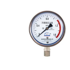 Yongyi Y100BF Radial Stainless Steel Pressure Gauge (0-1.6MPa, 100mm Dial) for Water, Liquid, Oil, Gas Systems