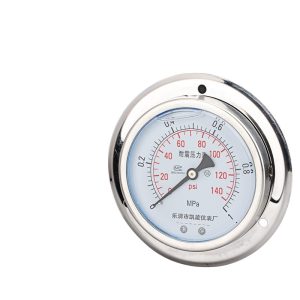 Durable Stainless Steel Pressure Gauge (0-1 MPa, YN100ZTBF) for HVAC Systems, Replaces KAIXUAN YN100ZTBF
