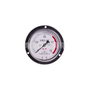Axial Oil-Filled Vibration-Proof Pressure Gauge YN100ZT (0-1.6 MPa, 100mm Dial, Back Connection)