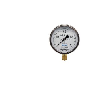Breidys YN100 Shock-Resistant Pressure Gauge (0-1.6MPa) for Air, Hydraulic, Oil Pressure Systems
