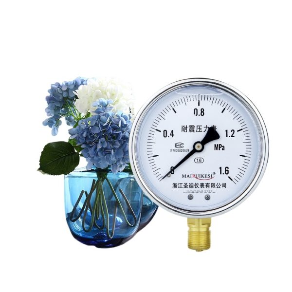 Durable Industrial Pressure Gauge YN100 1.6 Accuracy M20*1.5 1/2" Thread for Water Gas Hydraulic Systems