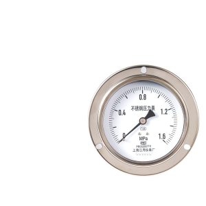 Axial Stainless Steel Pressure Gauge Y100BF/ZT (0-1.6MPa) for Industrial Systems