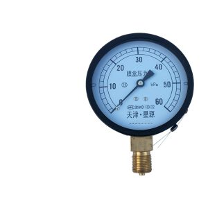 Tianjin XINGYUAN Diaphragm Pressure Gauge (0-60 kPa, Standard Threaded Connection) for HVAC Systems