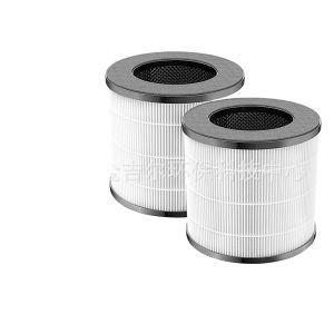 HEPA Air Purifier Filters (2 Pack) for Okaysou Cayman 608/320, Removes Formaldehyde and Odors