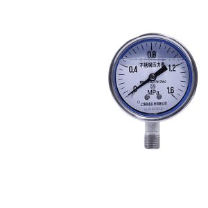 Lianglei Stainless Steel Pressure Gauge Y60-B-F-Z (0-1.6 MPa, 60mm Diameter, Upper Mounted, Stainless Steel Casing, G1/4 Connection, Excellent Stability) for General Industrial Applications