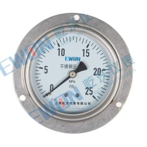 EWON Stainless Steel Axial Pressure Gauge with Flange Y-103BF Y-103BFZ (0-25 MPa) for Industrial Applications