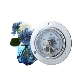 Axial Stainless Steel Electric Contact Pressure Gauge YX60ZT (0-1.6MPa, 60mm Dial, G1/4 Thread) for Industrial HVAC Systems