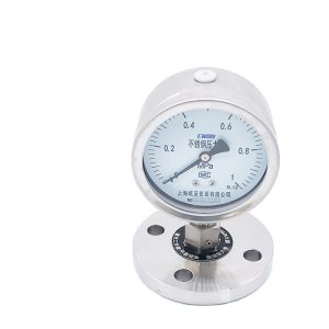 All Stainless Steel Diaphragm Pressure Gauge YTF100HMF (0-1 MPa, KL1.6 Accuracy) for Industrial Applications