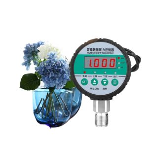 Intelligent Digital Display Pressure Controller (0-1.0 MPa, SD-YS810) for Water Hydraulic Pressure Systems