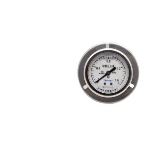 Breidys YN60ZT Axial Pressure Gauge (0-1.6MPa, 60mm Dial, Shake-proof) for HVAC Systems, Replaces Breidys YN60ZT