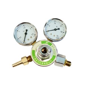 Nitrogen Pressure Regulator Controller Valve Reducer for N2 Gas Flow & Pressure Control