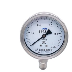 Stainless Steel Pressure Gauge YTF-100H (0-1 MPa, KL 1.6, 100mm Dial) for Industrial Applications