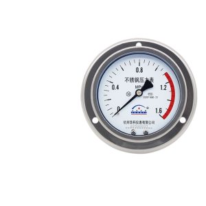 Yongyi Stainless Steel Pressure Gauge Y100ZTBF (Axial with Edge Mounting, 0-1.6 MPa, 1.6 Accuracy) for Water, Hydraulic, Oil, and Gas Systems
