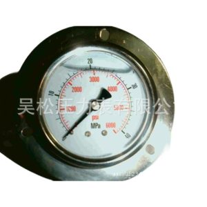 Back Mounted Vertical Pressure Gauge (0-60MPa/0-6000psi) for Water, Air, Oil Systems, Shock Resistant