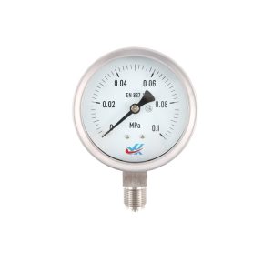 Y100SS-LA Pressure Gauge (0.1 MPa, 1.6 Accuracy) for Hydraulic & Oil Systems