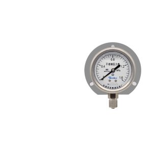 Breidys YNBF60T Stainless Steel Pressure Gauge with Rear Connection, High Precision, 1.6 Mpa Range Gauge for Marine & Industrial Applications