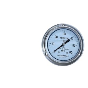 Axial Stainless Steel Pressure Gauge Y-103-B-F-Z (0-60MPa, 1.6 Accuracy Class) for Ammonia/Vacuum Pressure Systems